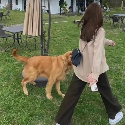 秦始皇的情人